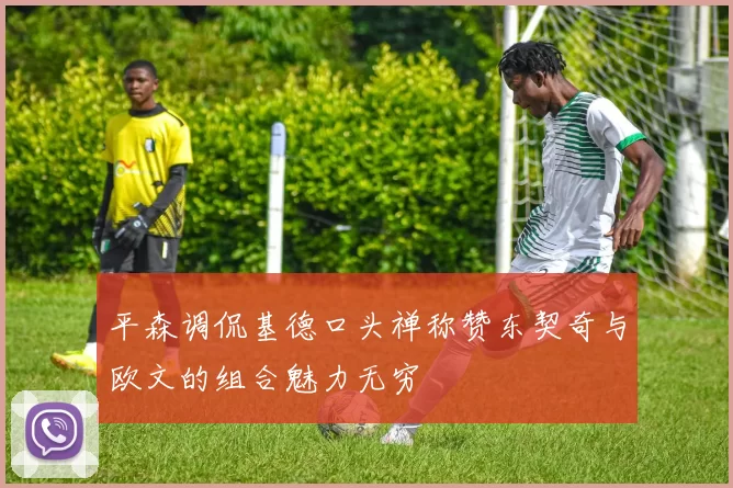 平森调侃基德口头禅称赞东契奇与欧文的组合魅力无穷