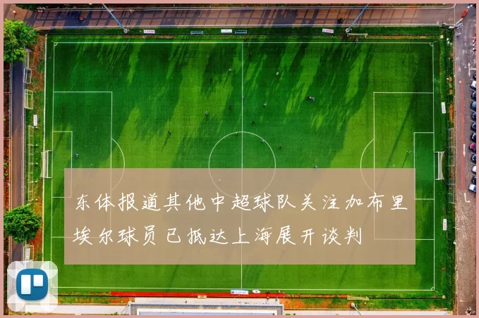 东体报道其他中超球队关注加布里埃尔球员已抵达上海展开谈判